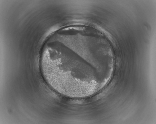 X0000111011411200907171825