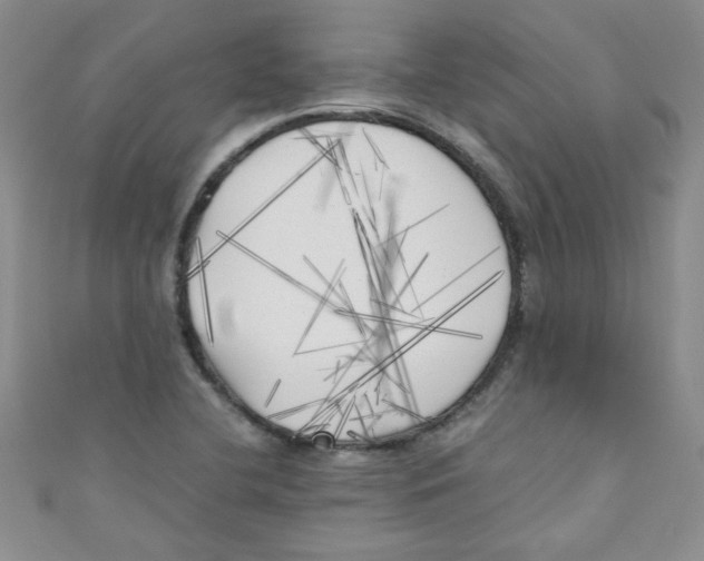 X0000111011412200907171825
