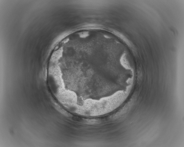 X0000111011413200907171825
