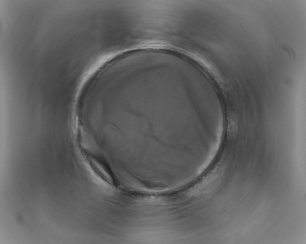 X0000111011414200907171825