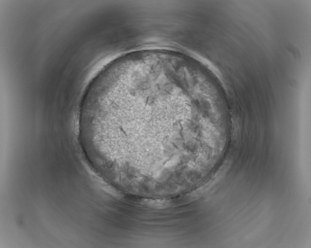 X0000111011415200907171825