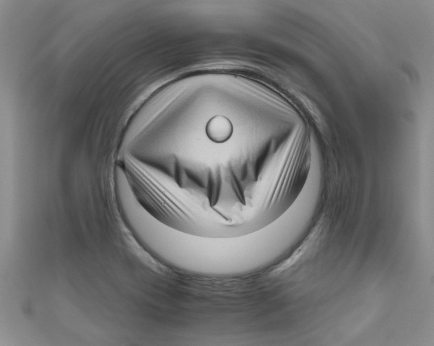 X0000111011417200907171825