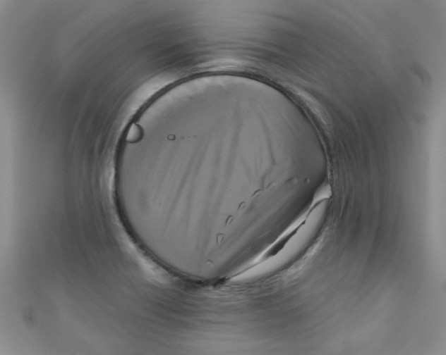X0000111011418200907171825