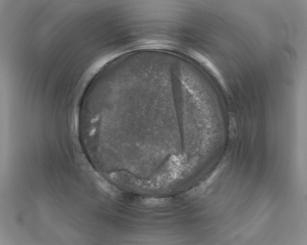X0000111011419200907171825
