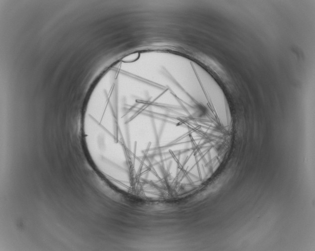 X0000111011420200907171825