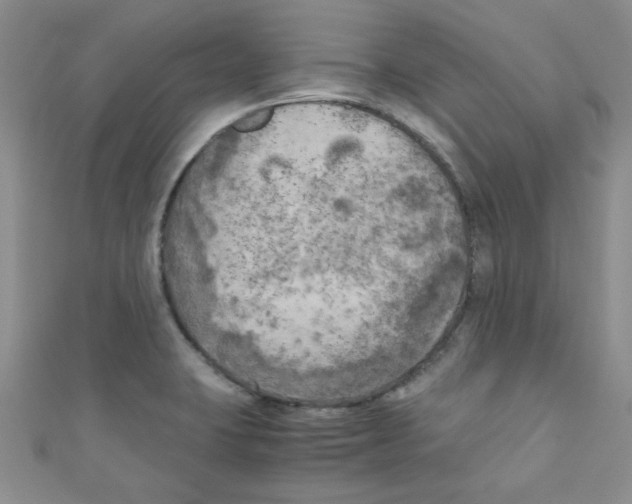 X0000111011423200907171825