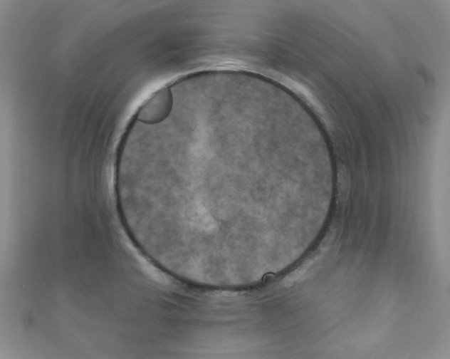 X0000111011424200907171825