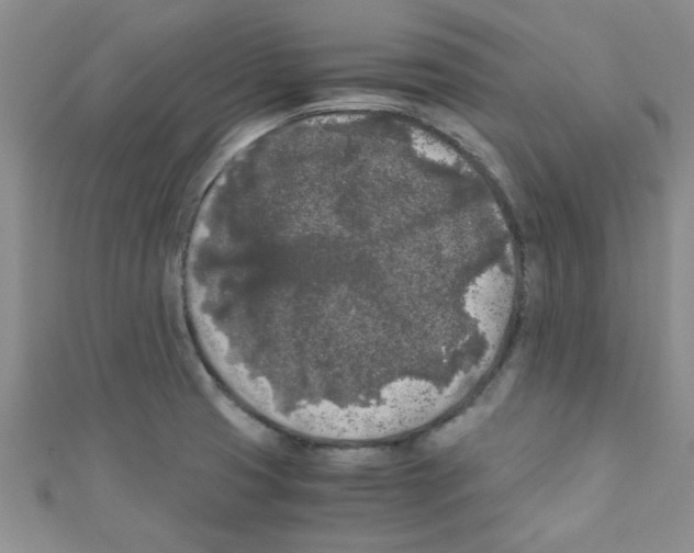 X0000111011425200907171825