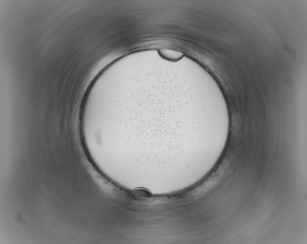 X0000111011426200907171825