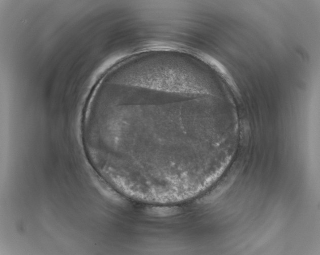 X0000111011427200907171825