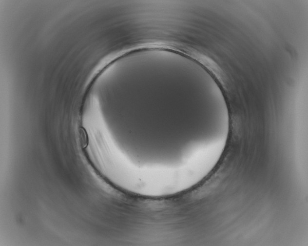 X0000111011428200907171825