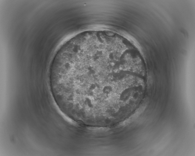 X0000111011429200907171825