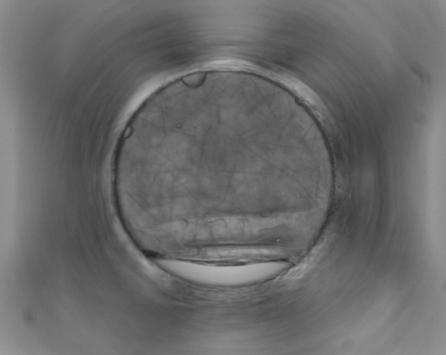 X0000111011430200907171825