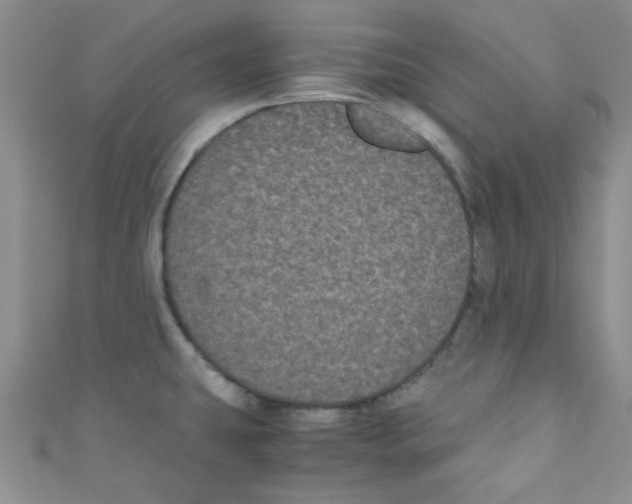 X0000111011431200907171825