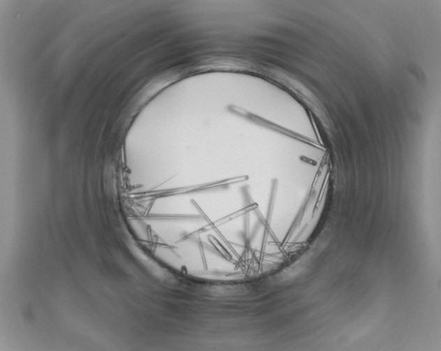 X0000111011433200907171825