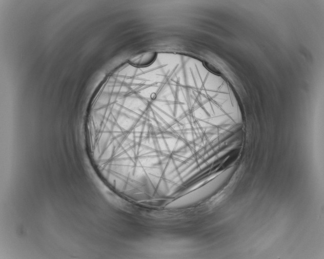 X0000111011434200907171825