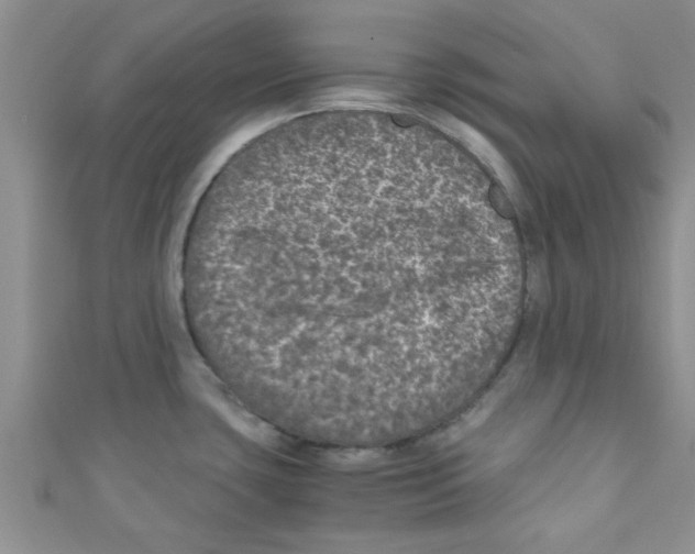 X0000111011435200907171825