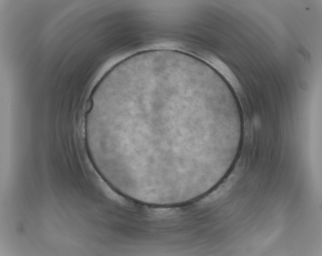 X0000111011436200907171825