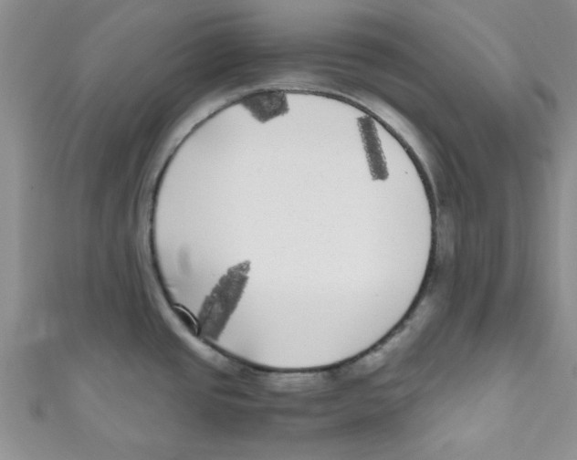 X0000111011437200907171825