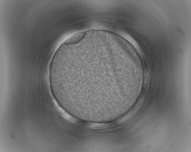 X0000111011439200907171825