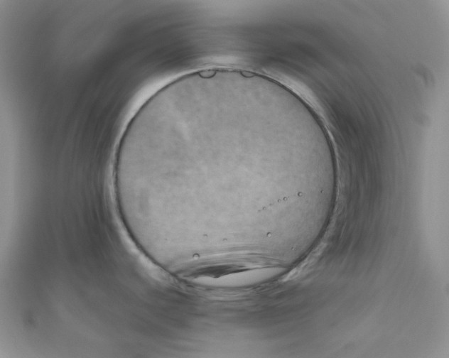 X0000111011440200907171825