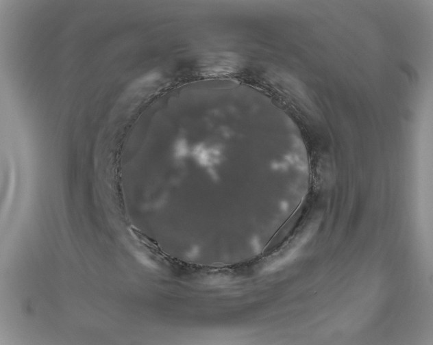 X0000111011441200907171825