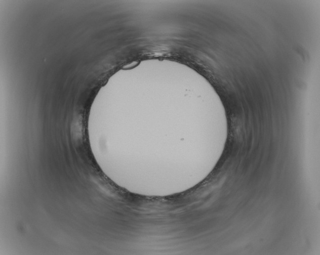 X0000111011442200907171825