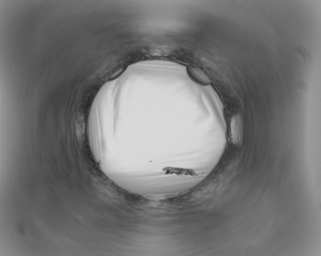 X0000111011443200907171825