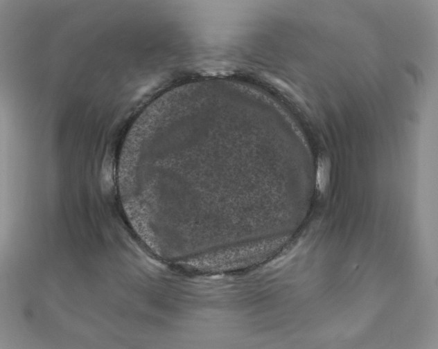 X0000111011444200907171825