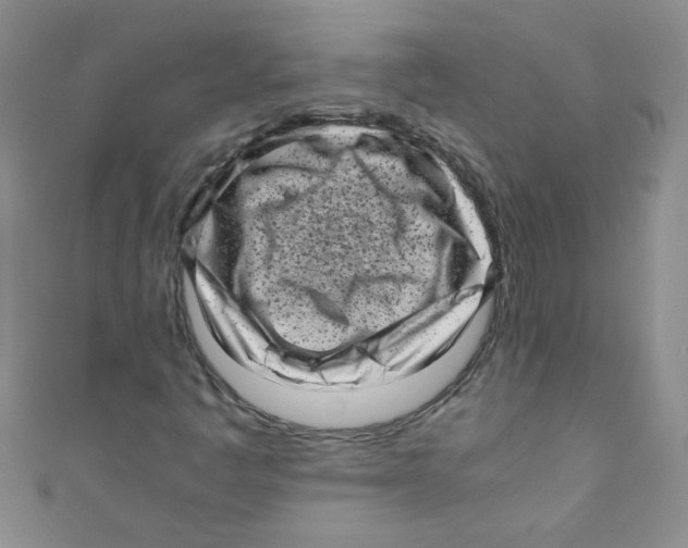 X0000111011445200907171824