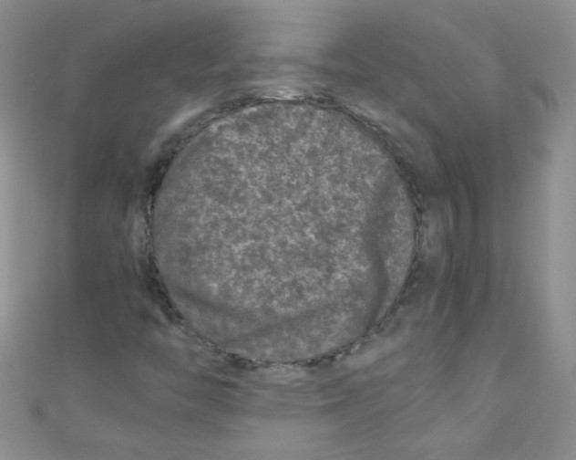 X0000111011446200907171824