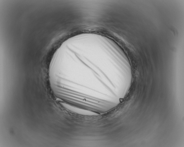 X0000111011447200907171824