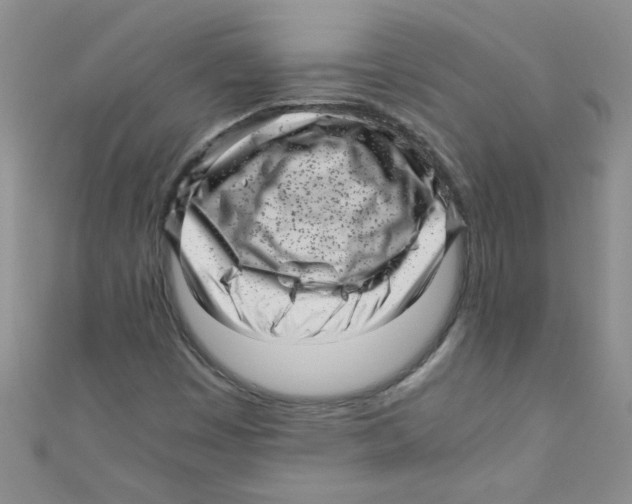 X0000111011449200907171824