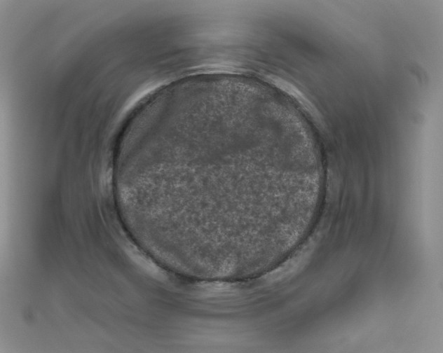 X0000111011450200907171824