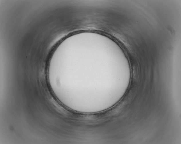 X0000111011452200907171824