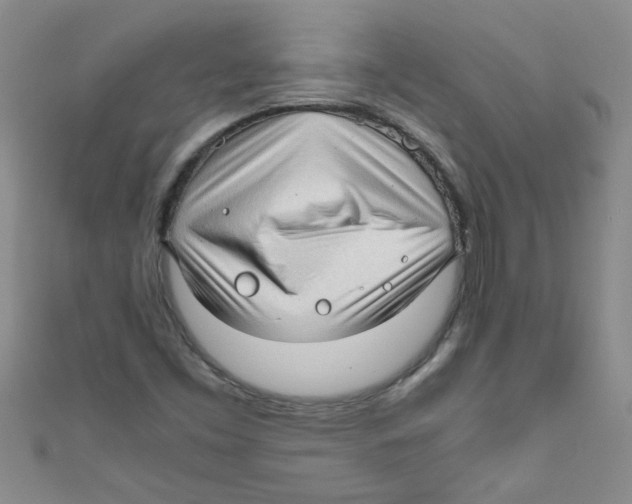 X0000111011453200907171824
