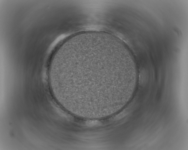 X0000111011454200907171824