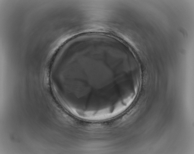 X0000111011455200907171824