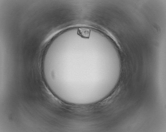 X0000111011456200907171824