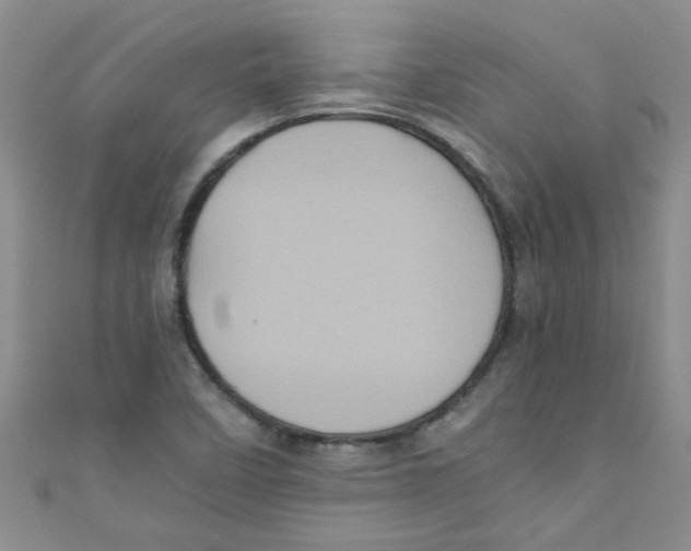 X0000111011458200907171824