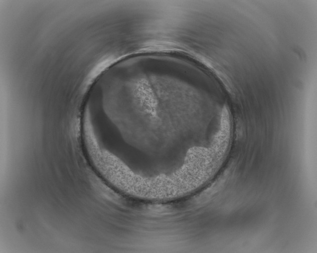 X0000111011459200907171824