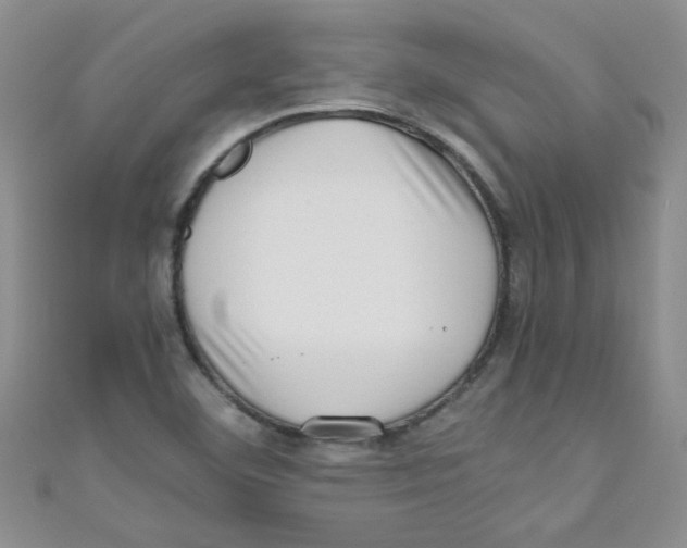 X0000111011460200907171824