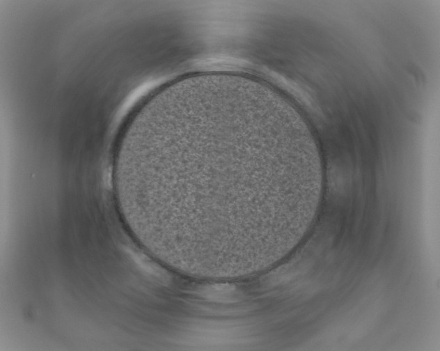 X0000111011462200907171824