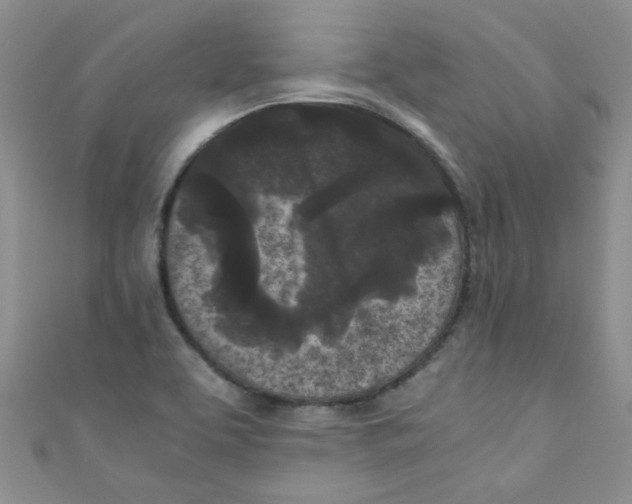 X0000111011463200907171824