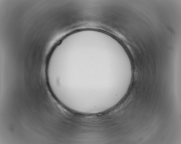 X0000111011464200907171824