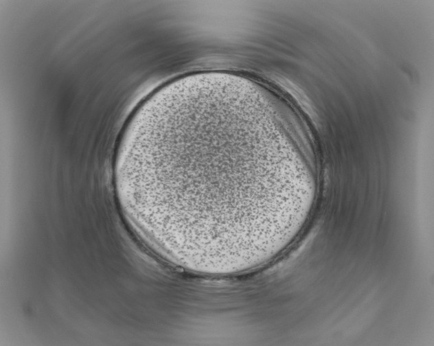X0000111011465200907171824