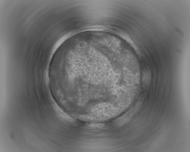 X0000111011466200907171824