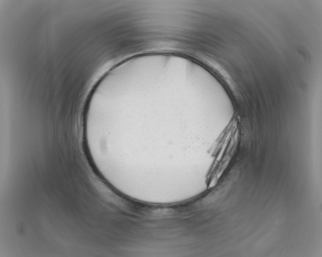 X0000111011467200907171824