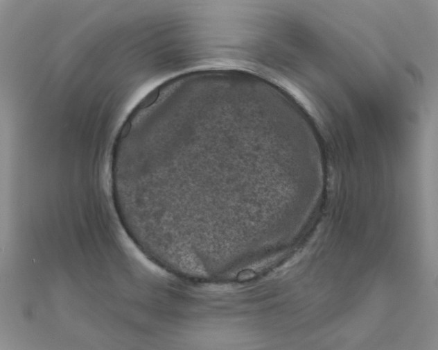 X0000111011468200907171824
