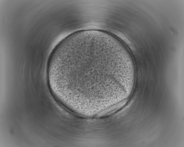 X0000111011469200907171824